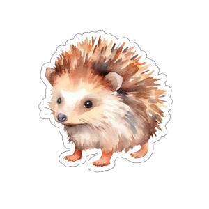 Cute Hedgehog Sticker, Hedgehog Vinyl Decal, Watercolor Hedgehog, Animal Illustration, Laptop Sticker, Cute Animal Sticker, Gift Idea