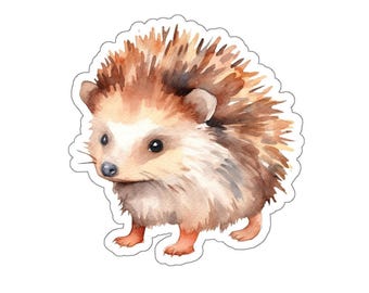Pegatina de erizo adorable, calcomanía de vinilo de erizo, erizo de acuarela, ilustración de animales, pegatina para computadora portátil, pegatina de animal adorable, idea de regalo