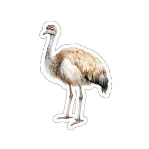 Australien Emu Aufkleber, Emu Aufkleber Vinyl Aufkleber, Emu Laptop Aufkleber, Emu Tier Aufkleber, Emu Art Emu Dekor, Geschenk für Tierliebhaber
