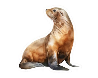 Cute Seal Sticker, Seal Vinyl Decal for Laptops and Water Bottles, Waterproof Nature Animal Sticker, Ocean Life Accessory