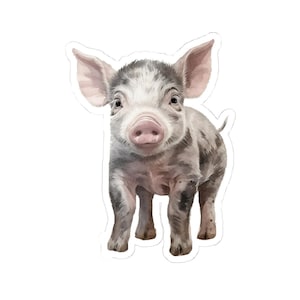 Cute Pig Stickers, Watercolor Piglet Decal, Farm Animal Stickers, Gift for Pig Lovers, Laptop Stickers, Water Bottle Stickers