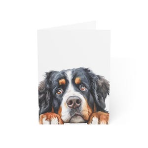 Berner Sennenhund Grußkarten, 10er Pack oder einzeln gefaltete Karte mit Umschlag, Aquarell, spähender Hund Postkarte Briefpapier Geschenkset