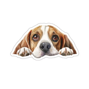 Beagle Aufkleber, spähender Hund Wasserdicht Vinyl Aufkleber für Laptop Wasserflasche Telefon Wand Auto Fenster Aufkleber Geschenk