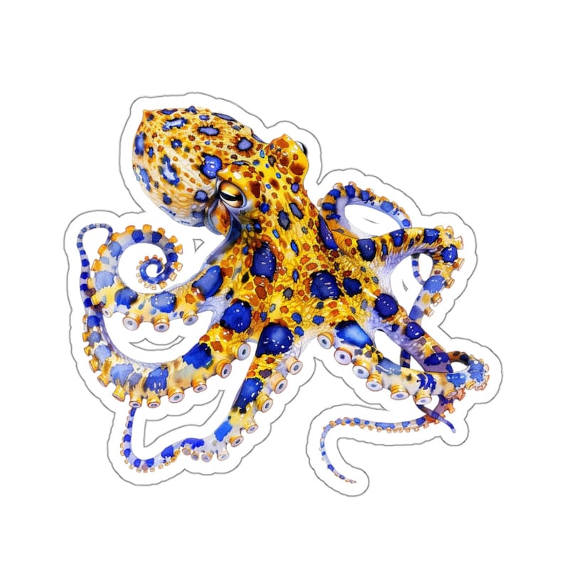 Colorful Octopus Sticker, Watercolor Vinyl Sticker for Laptop Water Bottle Car Window, Ocean Creature Decal, Nautical Home Decor, Squid Gift image 1