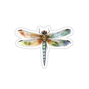 Colorful Dragonfly Vinyl Sticker, Glossy Waterproof Decal, Cute Bug Insect Art, Eco Friendly Print, Laptop Water Bottle, Window Decoration