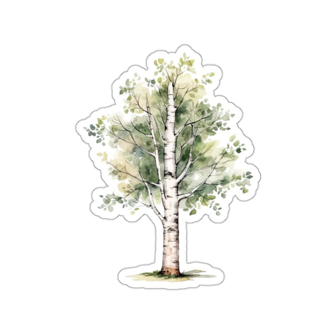 Birch Tree Sticker, Watercolor Tree Decal, Nature Inspired Vinyl, Eco ...