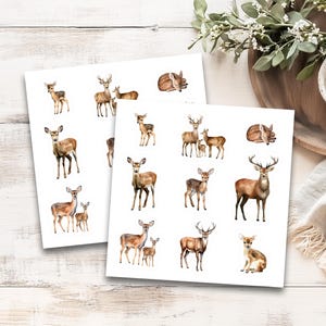 Deer Watercolor Stickers Sheet, Laptop Stickers, Cute Woodland Forest Animals Vinyl Decals, Water Bottle Stickers, Planner Journal Sticker