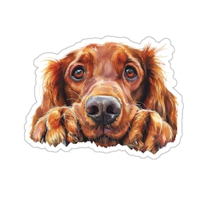 Adesivo Setter Irlandese, Adesivo in vinile impermeabile con cane che sbircia per laptop, bottiglia d'acqua, telefono, adesivo per finestrino dell'auto, regalo