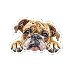 Bulldog Sticker, Peeking Dog Waterproof Vinyl Sticker For Laptop Water Bottle Phone Wall Car Window Decal Gift