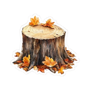 Puede incluir: Ilustración en acuarela de un tocón de árbol con hojas de otoño. El tocón es marrón con anillos de crecimiento visibles en la parte superior. Varias hojas naranjas y amarillas están esparcidas alrededor de la base y encima.