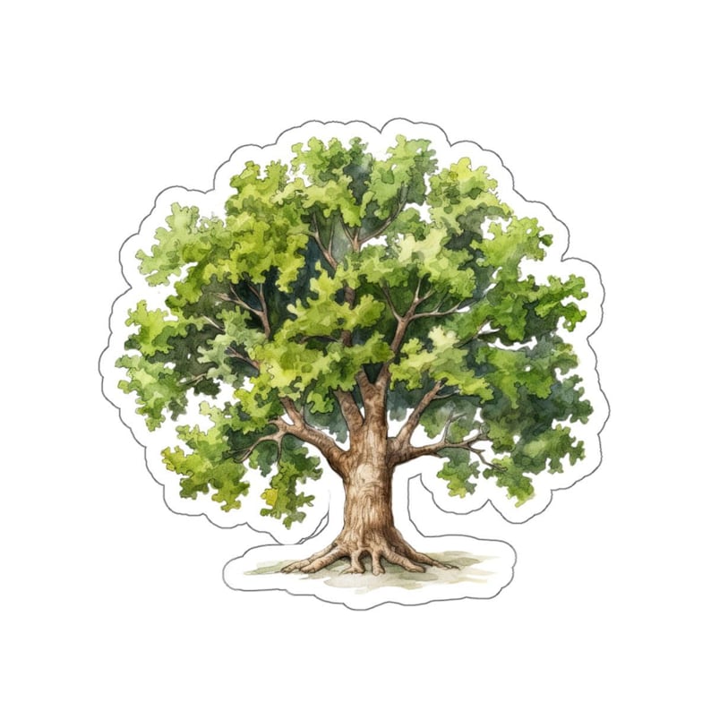 Adesivo Quercia, Adesivo in Vinile Natura, Adesivo Albero Acquerello, Adesivo Albero Impermeabile, Adesivo Laptop, Inchiostri Ecologici immagine 8