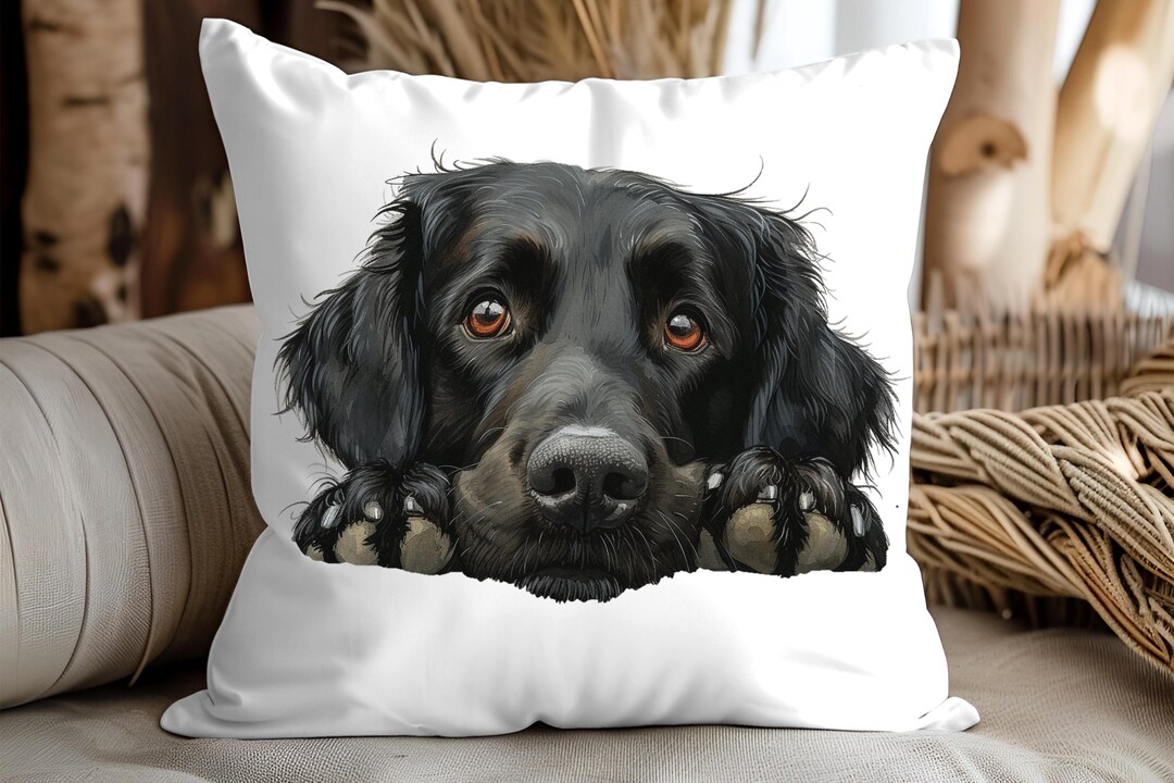 Crazy Dog Lady (Dog lover) Funny Square Premium Pillow