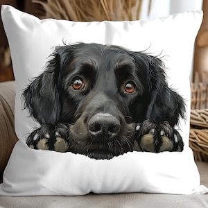 Almohada de retriever de pelo liso, linda almohada cuadrada con perro que mira fijamente con inserto y funda incluidos, cojín decorativo con acento, regalo de labrador negro