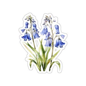 Bluebell Blumenaufkleber, Aquarell Blumenaufkleber, wasserdichter Vinylaufkleber, Laptopaufkleber, Naturkunst, botanischer Aufkleber, 2 bis 6 Zoll