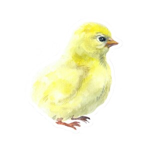 Cute Yellow Chick Sticker, Baby Chick Watercolor Decal, Easter Chick Vinyl Sticker, Waterproof Sticker, Bird Nature Sticker