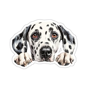 Pegatina dálmata, pegatina de vinilo impermeable para perro mirando para ordenador portátil, botella de agua, teléfono, pared, ventana de coche, regalo