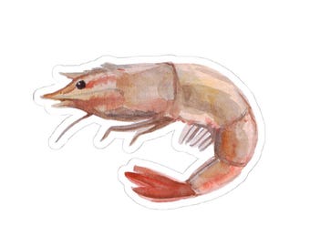 Niedliche Garnele Aufkleber, Aquarell Kunst Aufkleber, wasserfest glänzend, Lustiger Fisch Aufkleber, Tier Aufkleber, Laptop Wasserflasche Dekor