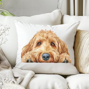 Almohada Goldendoodle, cojín cuadrado con estampado de perro que mira a escondidas, cojín decorativo con funda y relleno, poliéster hilado, regalo para amantes de los perros