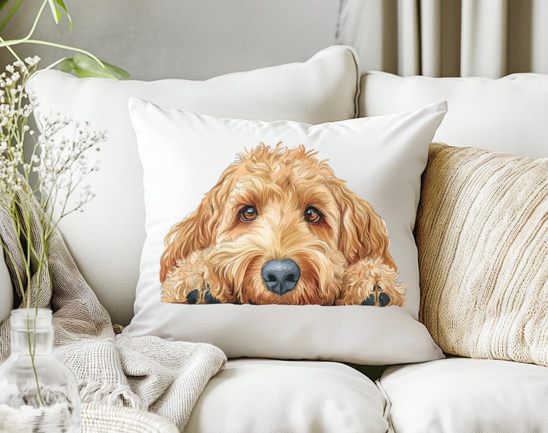 May include: A white pillow with a brown and white dog peeking over the top. The dog has a fluffy coat and is looking directly at the camera.