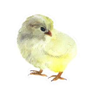 Adorable Chick Sticker, Cute Watercolor Chick Decal, Animal Sticker for Laptops, Water Bottles, Planners, Easter Chick Gift, Bird Sticker