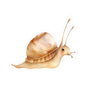 Cute Snail Vinyl Sticker, Woodland Animal Decal, Funny Snail Sticker, Waterproof Snail Illustration, Perfect for Laptops, Gifts