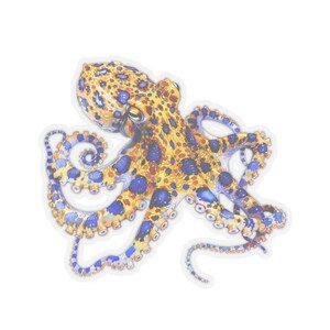 Colorful Octopus Sticker, Watercolor Vinyl Sticker for Laptop Water Bottle Car Window, Ocean Creature Decal, Nautical Home Decor, Squid Gift image 9