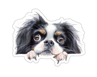 Peut inclure: Un chien Cavalier King Charles Spaniel noir et blanc avec des yeux bruns regarde par-dessus une surface blanche. Le chien a une tache blanche sur le front et un nez noir.