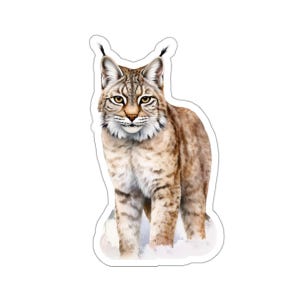Wild Lynx Bobcat Sticker, Realistic Bobcat Decal, Animal Lover Gift, Waterproof Sticker, Vinyl Bobcat, Wildlife Sticker, Eco Friendly Art