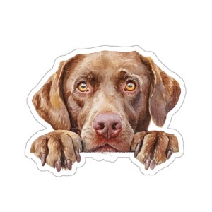 Chesapeake Bay Retriever Sticker, Peeking Dog Waterproof Vinyl Sticker For Laptop Water Bottle Phone Wall Car Window Decal Gift