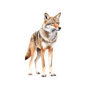 Adhesivo de vinilo de coyote, calcomanía de animal salvaje, adhesivo brillante resistente al agua, regalo para amantes de la naturaleza, decoración para botellas de agua para computadora portátil, ecológico
