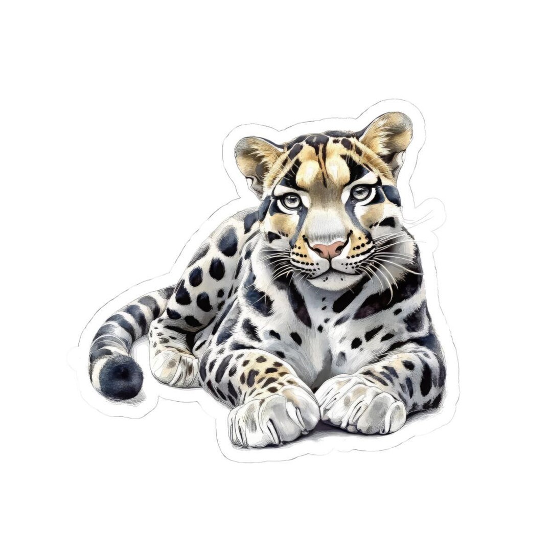 Clouded Leopard Sticker, Cute Animal Stickers, Exotic Cat Lover Gift ...