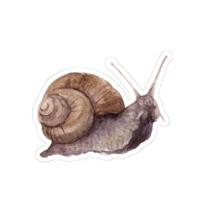 Snail Sticker, Watercolor Art Decal, Garden Lover Gift, Funny Snail Stickers, Laptop Sticker, Waterproof Sticker, Cute Stickers