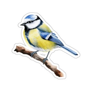 Stickers oiseaux mésanges bleues, Stickers aquarelles, Cadeau pour amoureux des oiseaux, Stickers mignons, Stickers nature