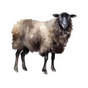Black sheep sticker for water bottle, laptop, phone, cute animal, glossy, waterproof, eco friendly, gift for her, farm lovers