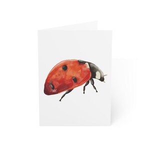 Cartões de felicitações de joaninha em aquarela, pacote com 10 ou cartão dobrado individualmente com envelope, em branco por dentro, conjunto de papelaria para presente de cartão postal de inseto de jardim