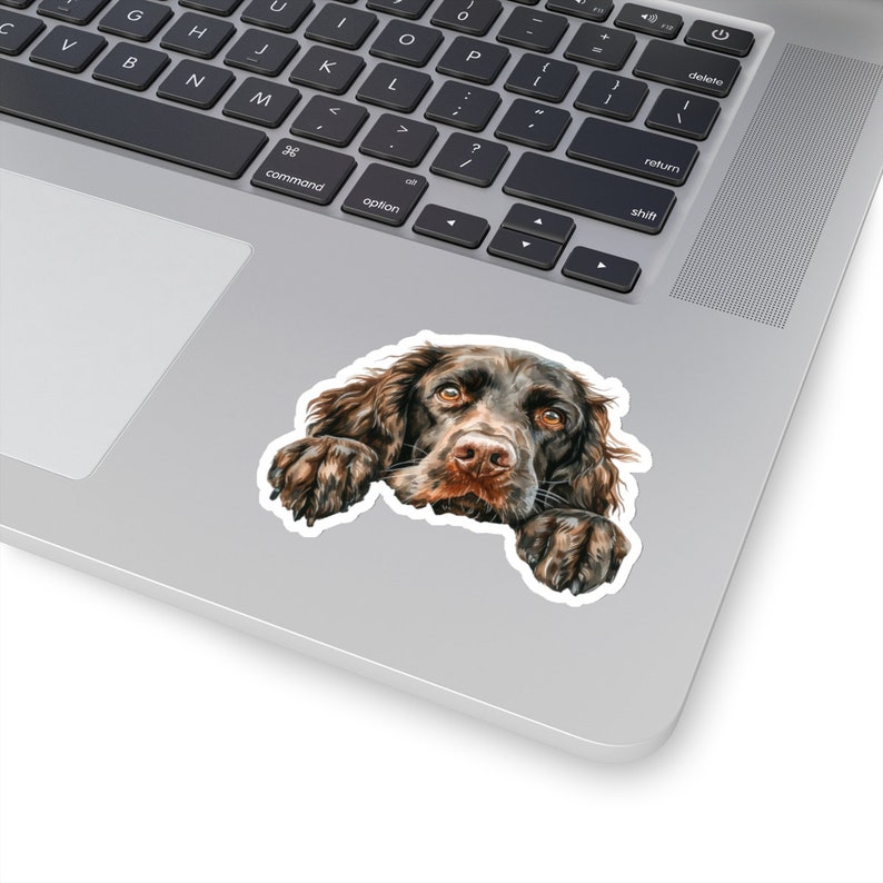Boykin Spaniel Sticker, Peeking Dog Waterproof Vinyl Sticker For Laptop Water Bottle Phone Wall Car Window Decal Gift image 4