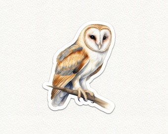 May include: A watercolor painting of a barn owl perched on a branch. The owl has white feathers with brown and black markings. The owl's eyes are yellow and its beak is black.