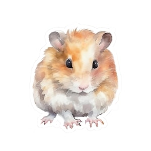 Cute Hamster Vinyl Sticker, Adorable Pet Hamster Decal, Glossy Waterproof Sticker, Laptop Sticker, Gift for Pet Lovers