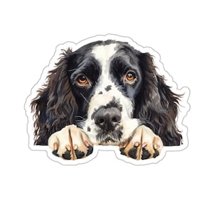 Sticker épagneul springer anglais, chien furtivement autocollant vinyle imperméable pour ordinateur portable bouteille d'eau téléphone mur voiture fenêtre sticker cadeau