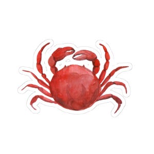 Red Crab Sticker, Watercolor Crab Decal, Cute Crab Stickers, Ocean Lover Gifts, Laptop Stickers, Water Bottle Stickers