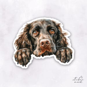 May include: A brown and white German Shorthaired Pointer dog peeks over the edge of a sticker with its paws outstretched. The dog has a serious expression on its face.