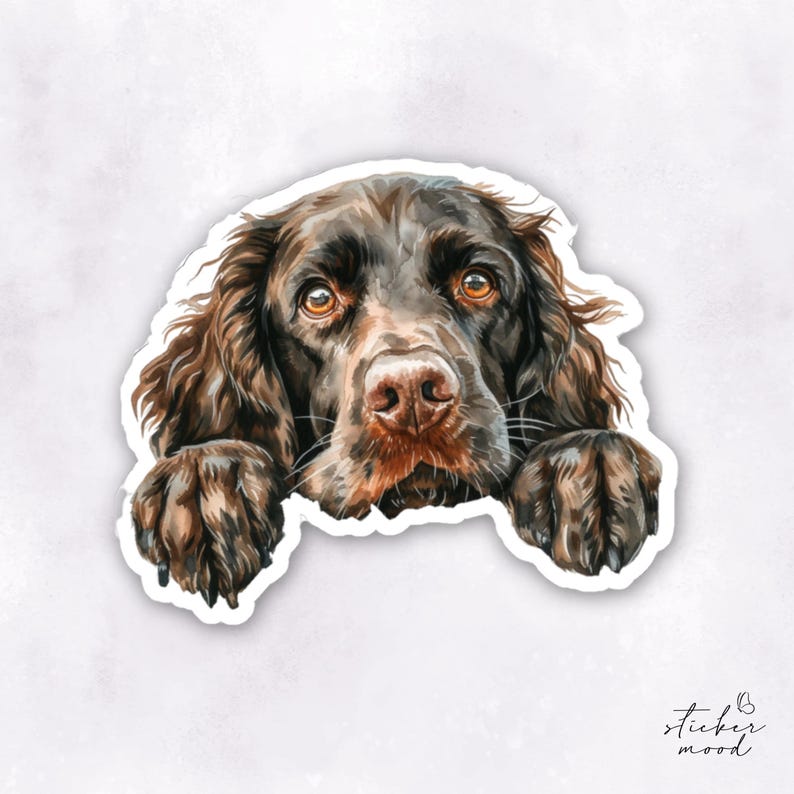 May include: A brown and white German Shorthaired Pointer dog peeks over the edge of a sticker with its paws outstretched. The dog has a serious expression on its face.