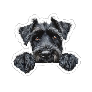 May include: A black and white illustration of a Schnauzer dog peeking over a surface with its paws outstretched. The dog has a serious expression and its eyes are looking directly at the viewer.