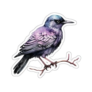 Watercolor bird vinyl sticker, glossy raven sticker, crow sticker, waterproof sticker, perfect for laptop or water bottle