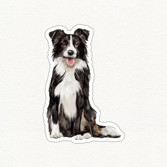 Cute Border Collie Dog Vinyl Sticker, Waterproof Decal for Laptops - Main Image