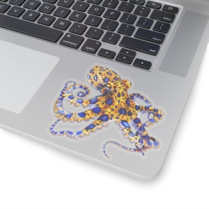 May include: A blue and yellow octopus with white spots, with its tentacles curled around itself. The octopus is on a white background.