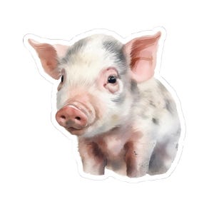 Pig Stickers, Cute Piglet Decals, Watercolor Art, Farm Animal Stickers, Gift for Pig Lovers, Laptop Stickers, Water Bottle Stickers