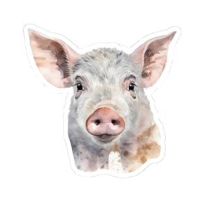 Pig Stickers, Cute Piglet Decal, Farm Animal Stickers, Watercolor Art, Pig Lover Gift, Laptop Stickers, Water Bottle Stickers