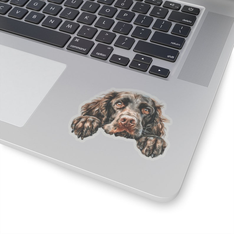 Boykin Spaniel Sticker, Peeking Dog Waterproof Vinyl Sticker For Laptop Water Bottle Phone Wall Car Window Decal Gift image 3