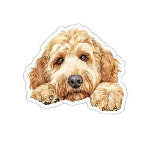 Sticker Goldendoodle, chien furtivement autocollant vinyle imperméable pour ordinateur portable bouteille d'eau téléphone mur voiture fenêtre sticker cadeau